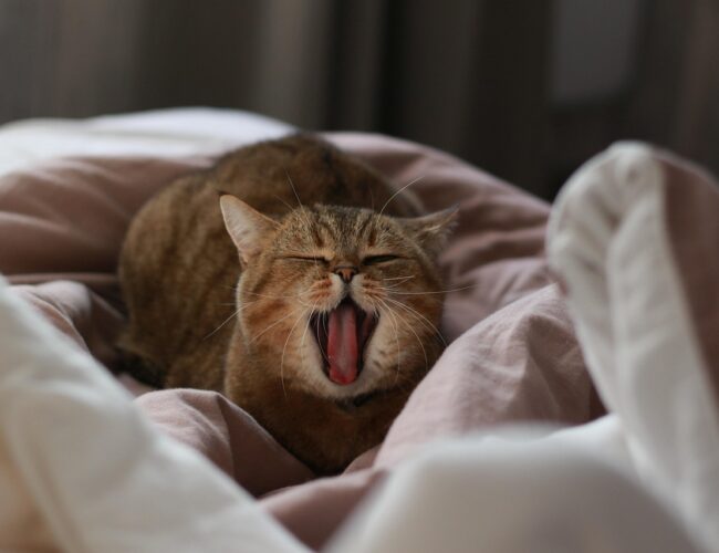 Miért érzed úgy, hogy elvesztegeted a vasárnapot, és hogy tudsz ezen változtatni?