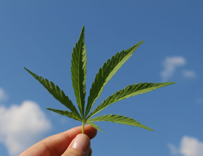 A kannabisz meglepő dolgot csinálhat a májaddal