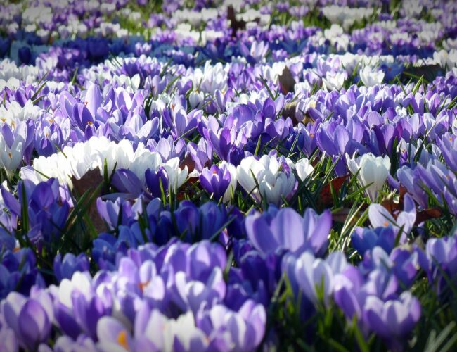 3 lépés a tavaszi mentális „nagytakarításhoz”, ha újra akarod indítani az agyad