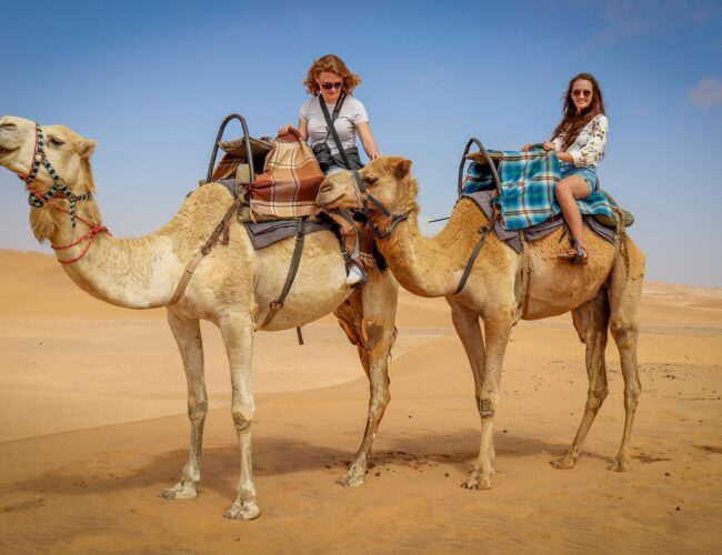 Botox miatt zártak ki tevéket a teveszépségversenyből