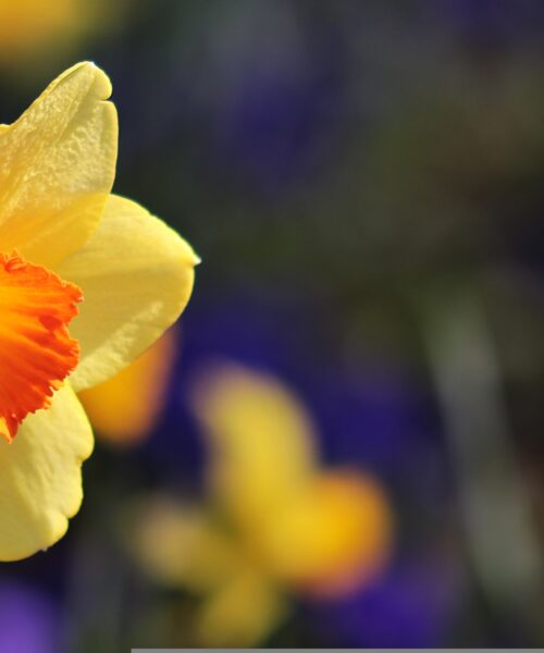 Testbeszéd jelek, hogy nárcisztikussal van dolgod